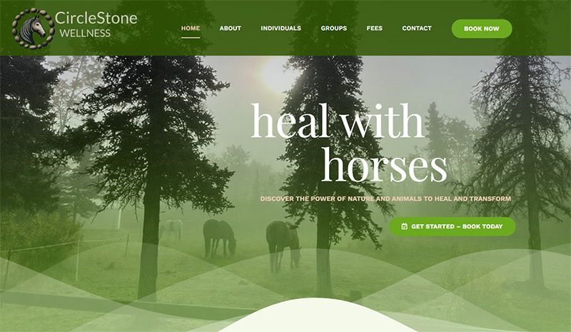 CircleStone Wellness website